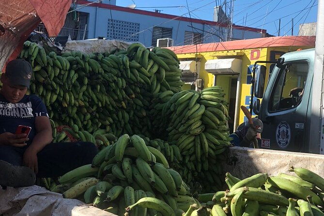 discovery-and-adventure-of-the-local-dominican-life-in-small-group