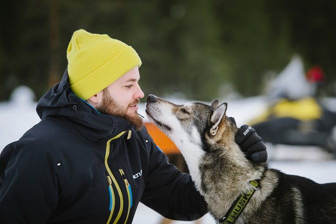 dogsled-adventure-kiruna