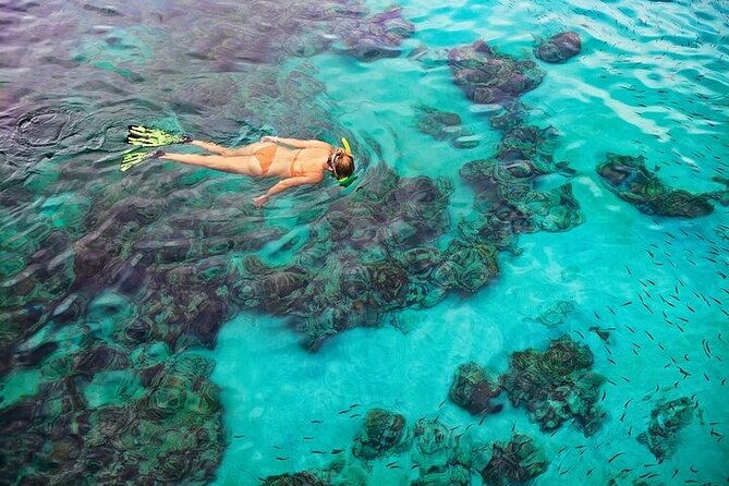 dolphin-sea-cave-captain-cook-kealakekua-bay-reef-snorkeling-2