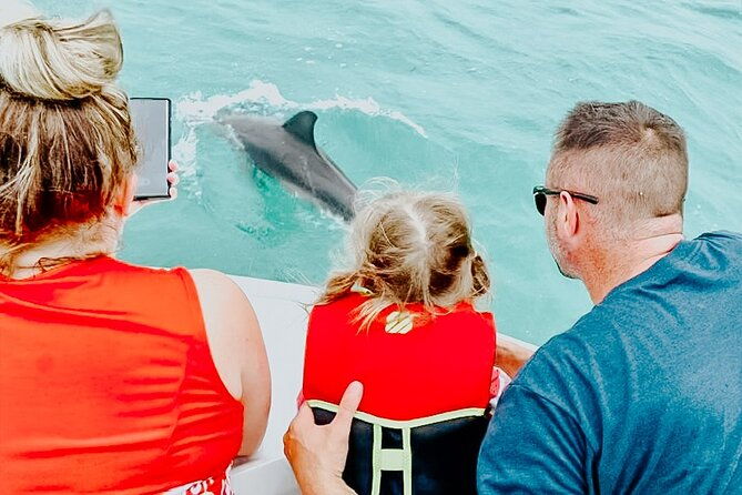 dolphin-snorkel-sandbar