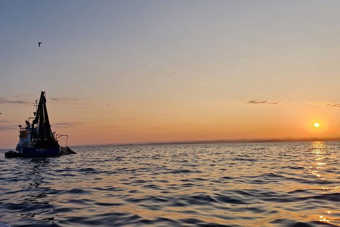 dolphin-sunrise-adventure-with-speedboat