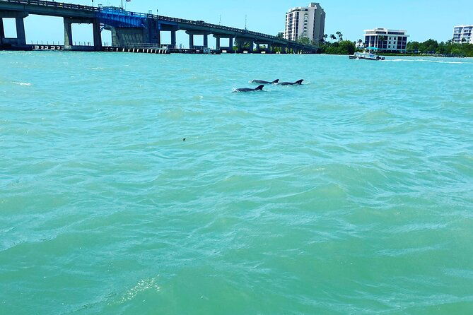 dolphin-tiki-cruise-around-fort-myers-beach