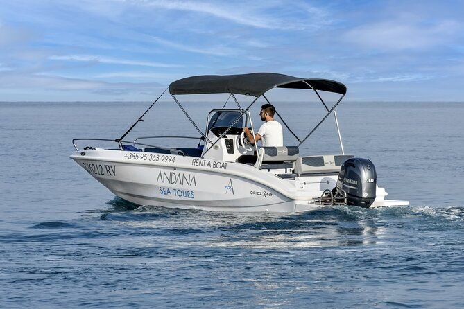 dolphin-watching-sunset-speedboat-tour-with-drinks-in-rovinj