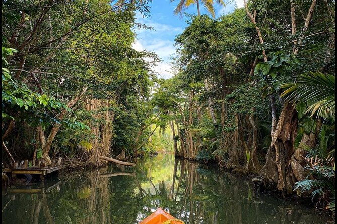 dominica-indian-river-discovery-beach-stop