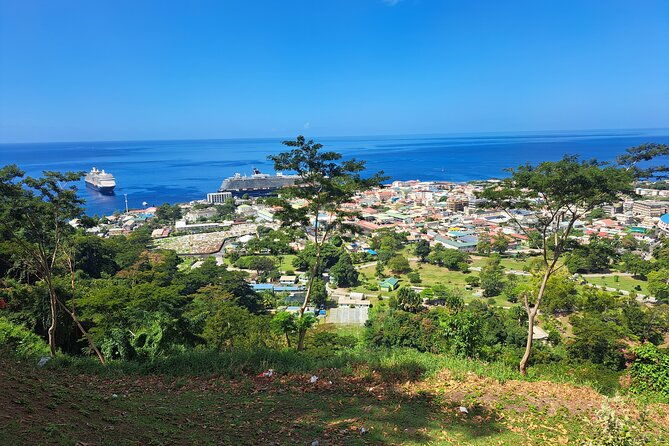 dominica-roseau-city-and-rainforest-tour