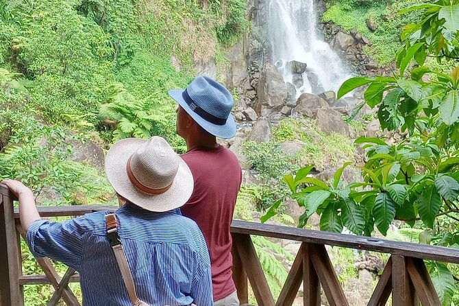 dominica-waterfalls-full-day-private-expedition-autop-tours