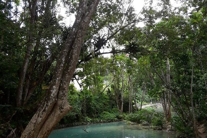dunns-falls-and-blue-hole-daytrip-with-lunch-from-montego-bay-trelawny