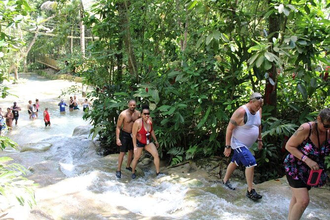 dunns-river-falls-half-day-private-tour-from-falmouth-trelawny