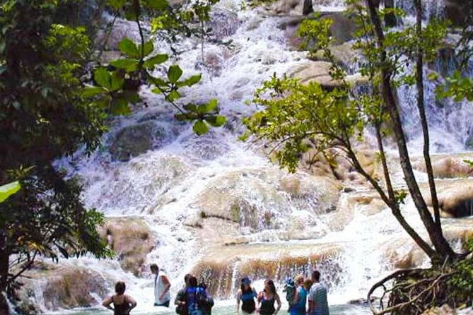 dunns-river-falls-plus-bob-marley-nine-mile-private-tour