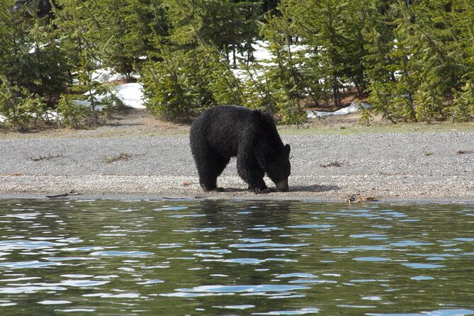 early-morning-guided-kayak-tour-2