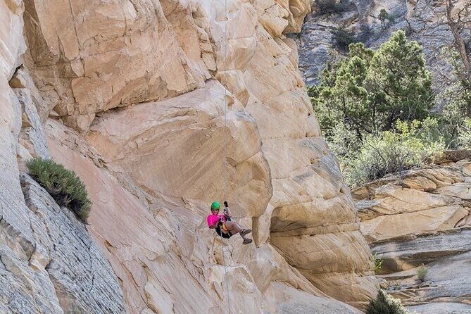 east-zion-elk-heart-cliffs-via-ferrata-and-rappelling-3hr