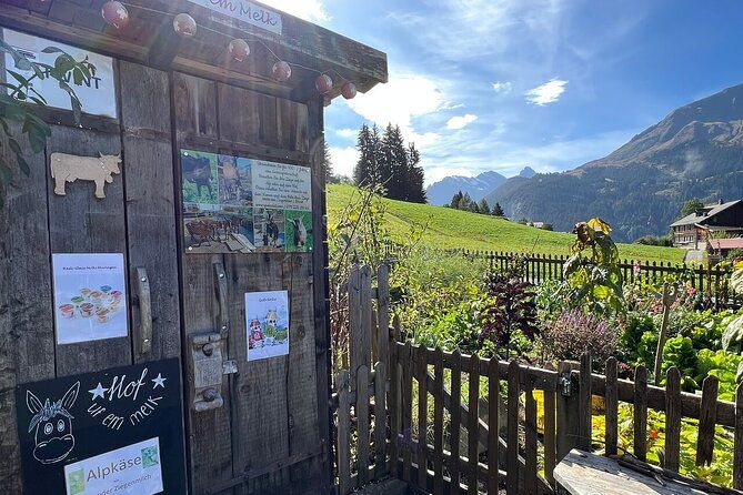 easy-countryside-tour-in-swiss-alps-kids-friendly