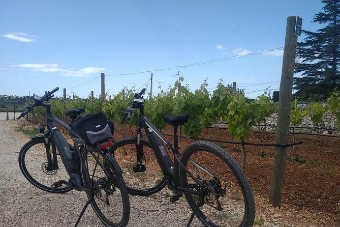 ebike-tours-alberobello-and-the-wines-of-valle-ditria-2