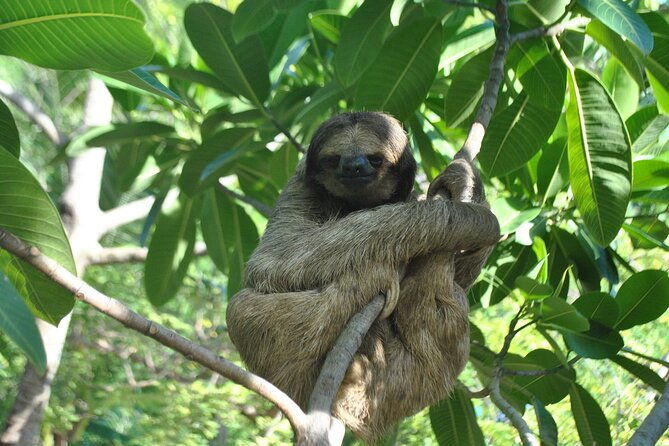 eco-park-and-beach-tour-in-roatan