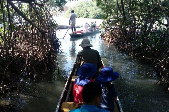 ecoruta-volcano-of-totumo-and-experience-in-the-mangroves