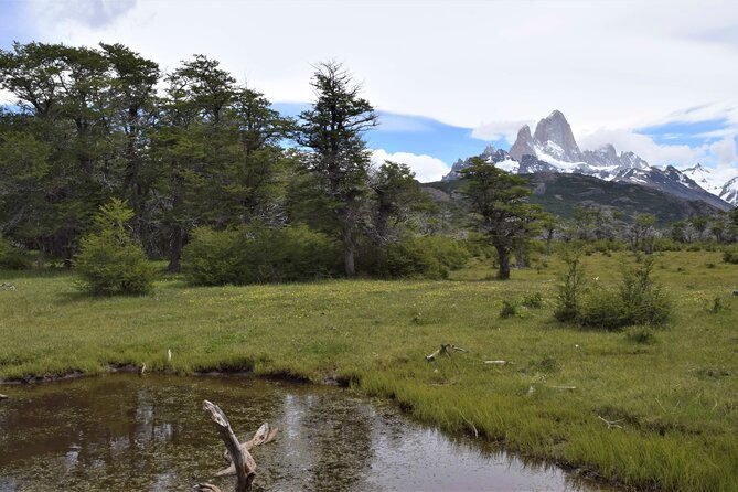 el-chalten-full-day-trekking-to-loma-del-pliegue-tumbado