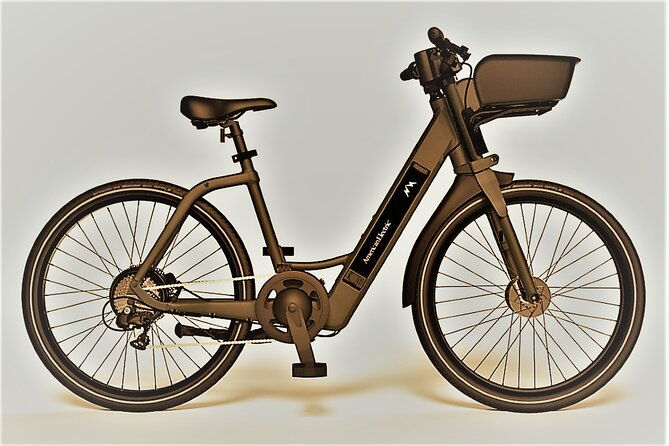 electric-bike-rentals-in-the-villages-florida-with-delivery