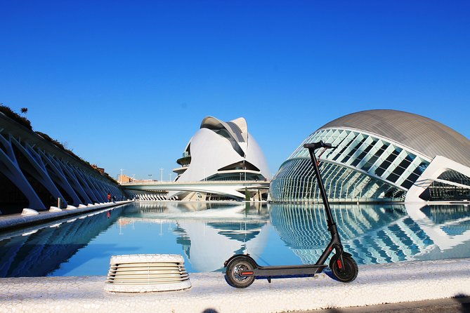electric-scooter-rental-2