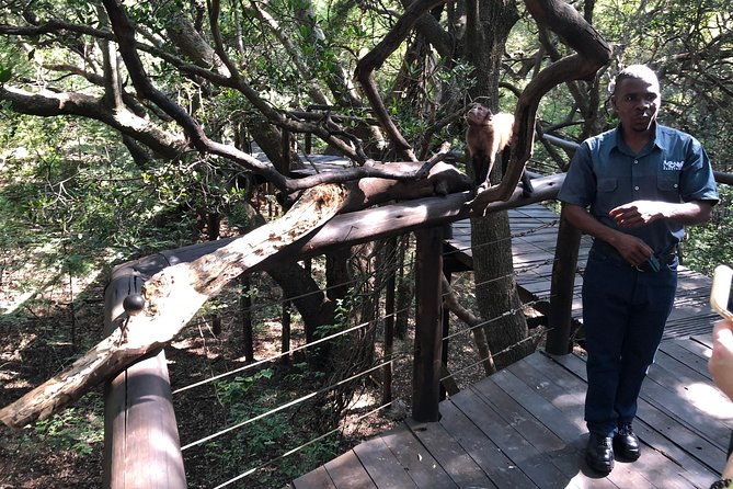 elephant-monkey-sanctuary-tour-from-johannesburg-2