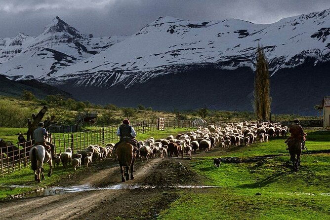 estancia-25-de-mayo-experience-with-dinner-from-calafate