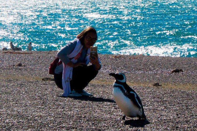 estancia-san-lorenzo-home-of-the-largest-penguin-colony
