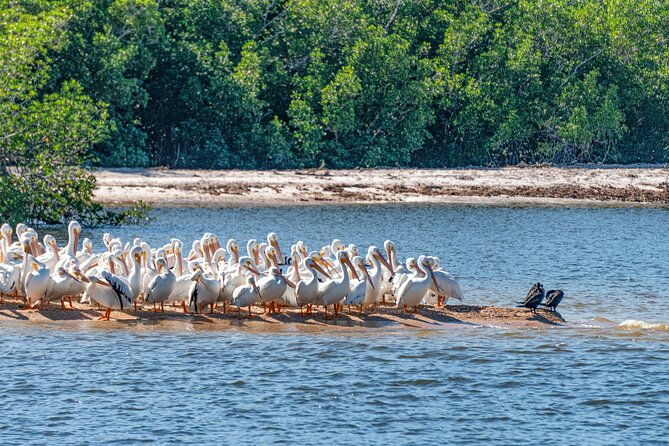 everglades-national-park-boat-tour