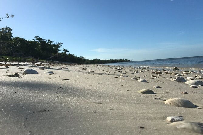 everglades-national-park-small-group-guided-boating-and-walking-expedition-2