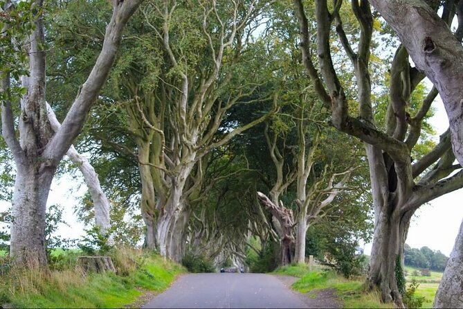 experience-the-antrim-coast-and-the-land-of-giants-private-tour