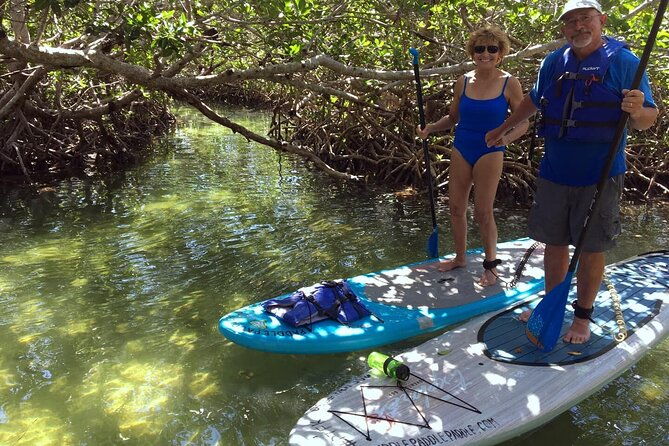 explore-the-mangrove-creeks-with-an-all-day-tandem-kayak-rental-2