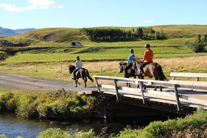 family-friendly-horse-riding-tour-in-skagafjordur