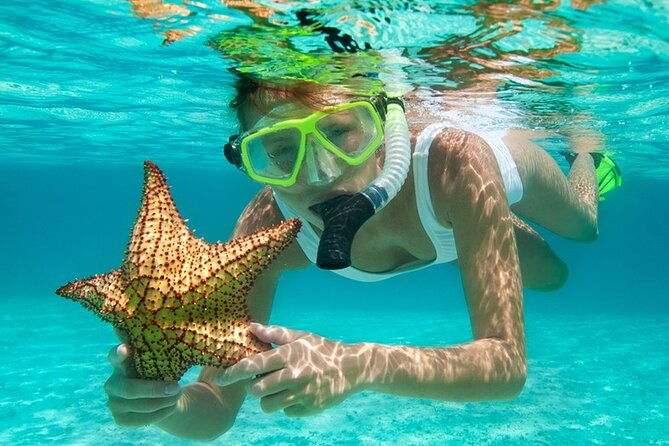 family-fun-snorkeling-activity-in-montego-bay-w-lunch-stop