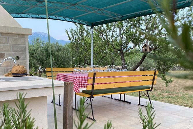 family-run-vineyard-tour-award-winning-wine-tasting-delicacies