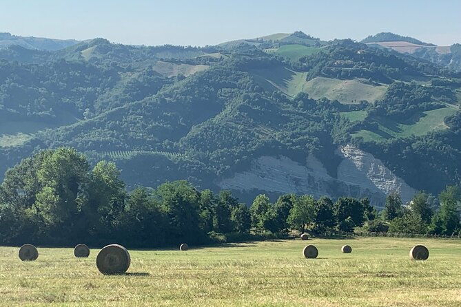 farm-stay-experience-and-dozza-private-day-tour-from-bologna