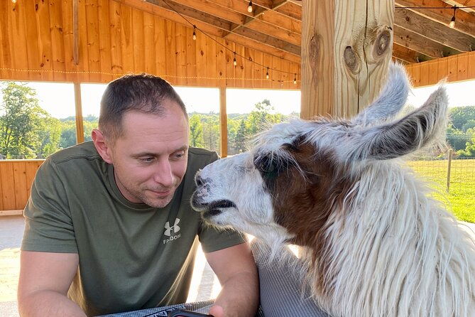 farm-tour-at-clover-brooke-llama-alpaca-goat-farm