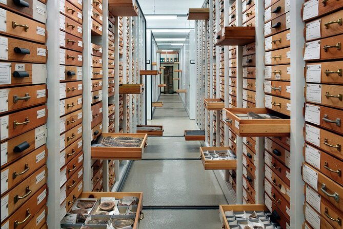 field-museum-of-natural-history-early-access-ticket-2