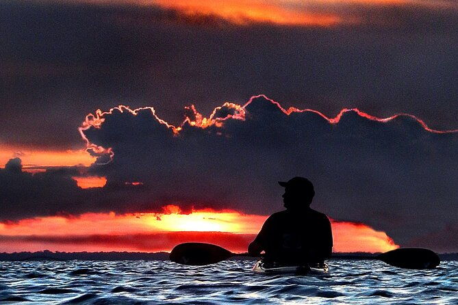 florida-bioluminescence-clear-kayak-tour-cocoa-beach-kiwanis-island-2