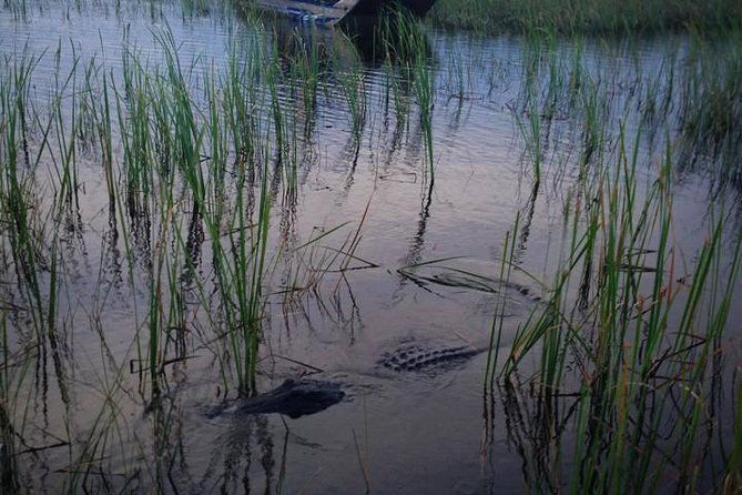florida-everglades-private-night-airboat-ride-tour