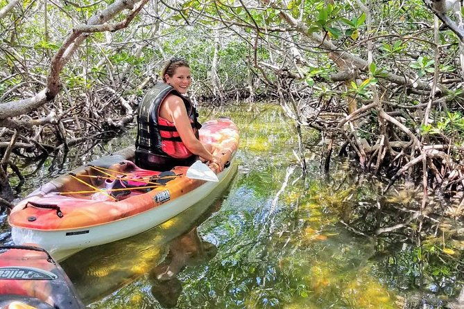 florida-keys-eco-tour-snorkel-kayak-lunch-transportation-2