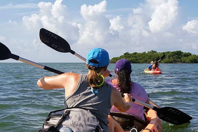 florida-keys-eco-tour-snorkel-kayak-lunch-transportation