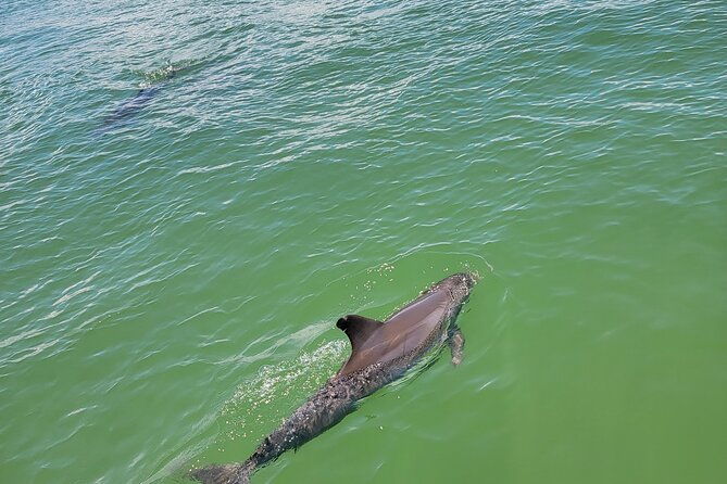 fort-myers-beach-sunset-excursion