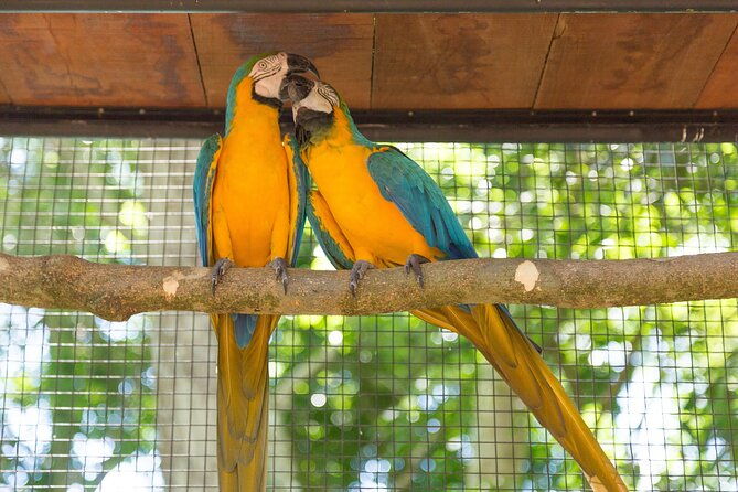 foz-do-iguacu-airport-shared-transfer