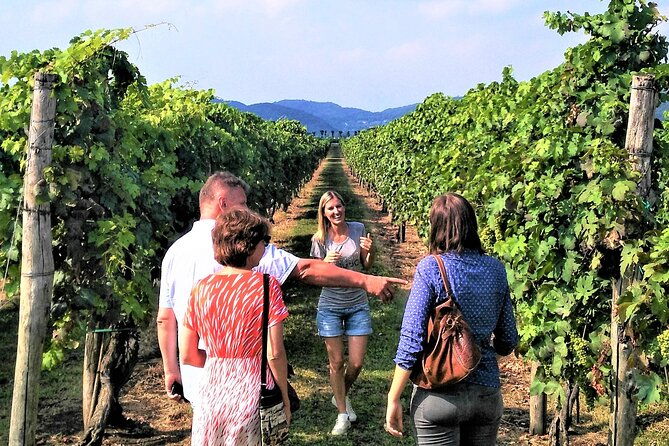 from-abano-montegrotto-wine-tour-in-the-euganean-hills