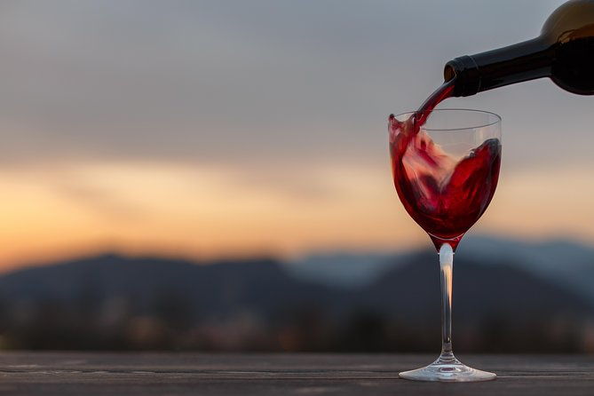 from-bologna-wine-tasting-and-vineyard-tour-with-the-winemaker