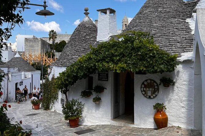 from-brindisi-ostuni-alberobello-and-polignano-a-mare-tour-2