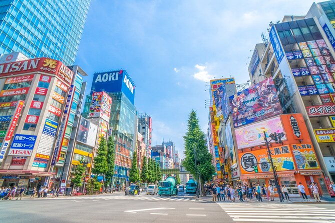 from-history-to-subculture-akihabara-ueno-must-see-tour