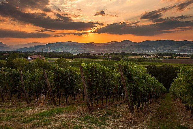 from-parma-parmigianoprosciutto-and-winery-tour-and-tasting-2