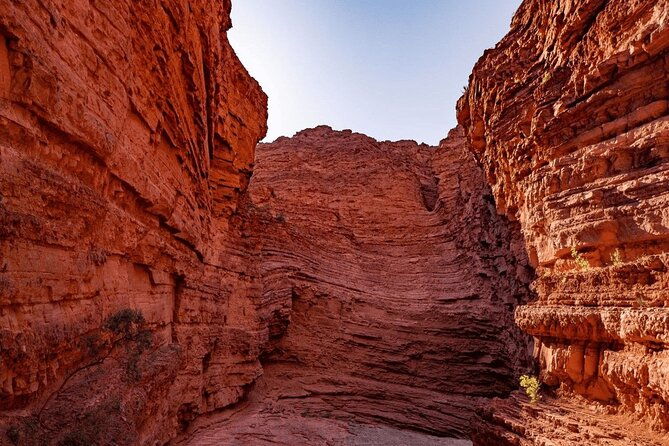 from-salta-full-day-tour-to-cafayate-land-of-wines