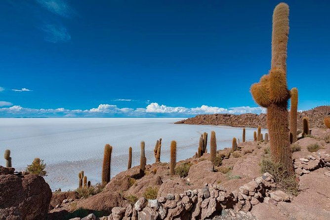 from-uyuni-uyuni-salt-flats-1-day-lunch-and-sunset