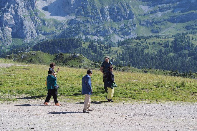 from-verona-full-day-dolomites-mountains-trip-2