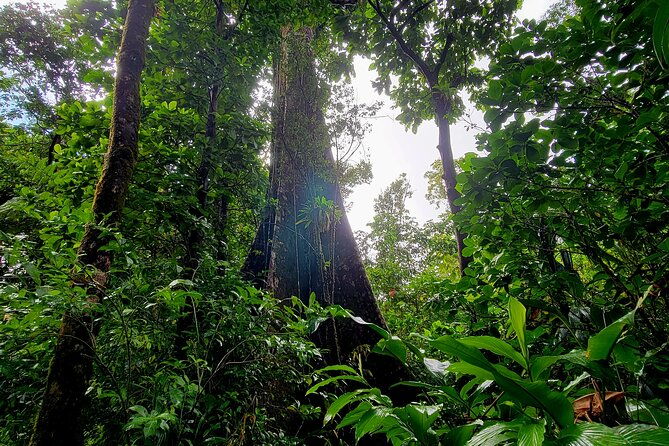 full-day-hike-tour-from-dominica